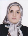 سمیه حسینی نژاد ماهانی سمیه حسینی نژاد ماهانی