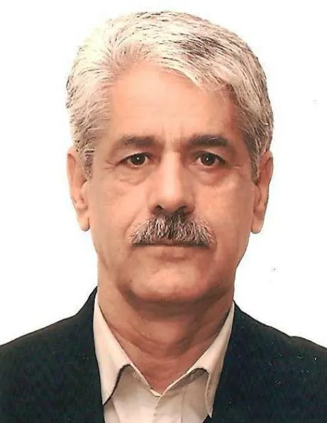 محمد کاظم محفوظی