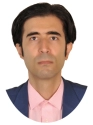 شاهین چابک شاهین چابک