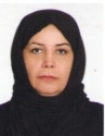 صدیقه سادات کاشانی نژاد صدیقه سادات کاشانی نژاد