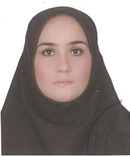 مینا پاشائی