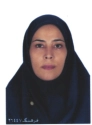 زینب الازمنی زینب الازمنی