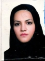 طیبه سادات حسینی طیبه سادات حسینی