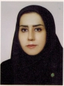 فیروزه باقری فیروزه باقری