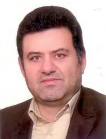 حسین محمودی