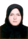 راحله خلجی زاده راحله خلجی زاده