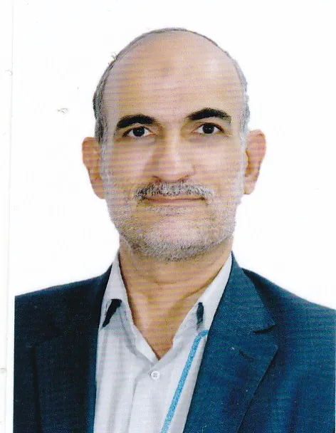 سیدحسین امام