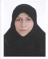 مهرالسادات سیدراثی مهرالسادات سیدراثی