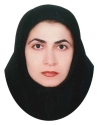 زهرا درویشی زهرا درویشی