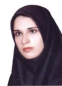 سارا محمد حسینی طرقی سارا محمد حسینی طرقی