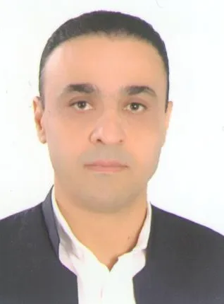 مسعود انصاری