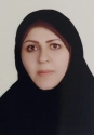 احترام السادات حصارکی احترام السادات حصارکی