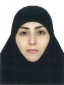 نرگس قزل سفلی نرگس قزل سفلی