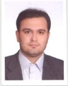 شاهین ساحلی شاهین ساحلی