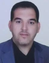 محمد رضا امینی