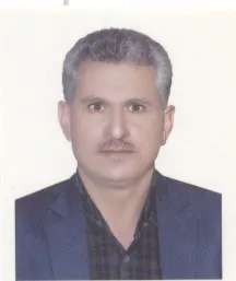 میرزا ولی نژاد