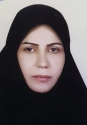 مریم میرزایی مریم میرزایی