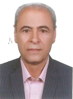 محمد رضا حسینی