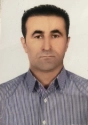 حسن نجاری حسن نجاری